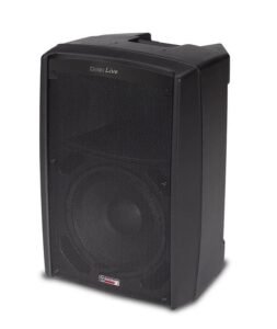 1080_Audiodesign Digilive 10