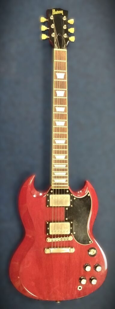 1575_Burny-SG-Japan-900