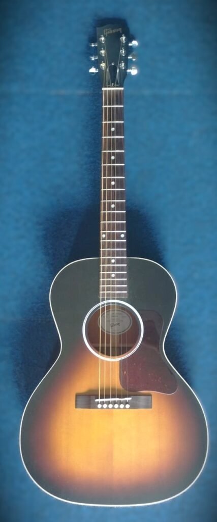 Gibson L 00 Special VS