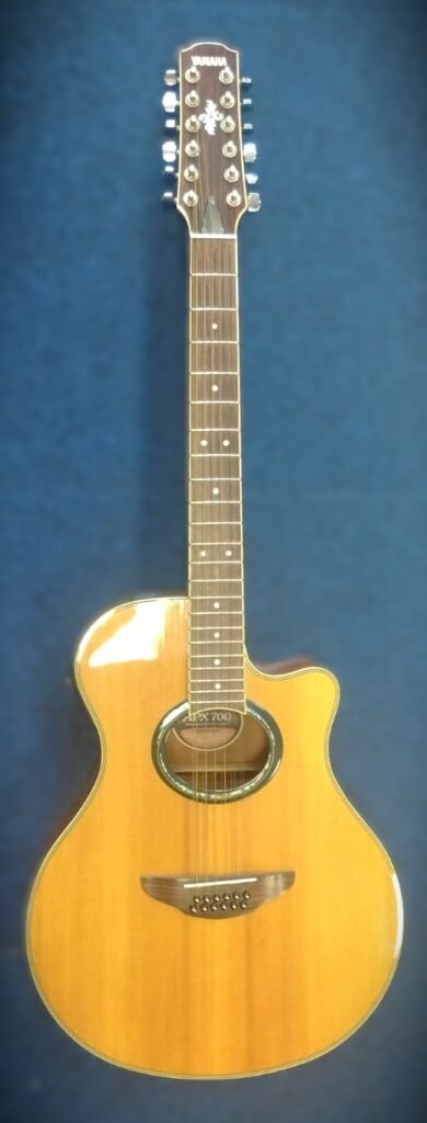 Yamaha APX 700 12 corde