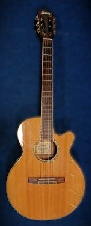 Ibanez AEG10NE NT